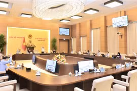 Ủy ban Thường vụ Quốc hội biểu quyết thông qua. (Ảnh: Doãn Tấn/TTXVN)