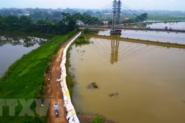 Các cơ quan chức năng đã tiến hành be bờ để ứng phó với mực nước sông Bùi đã lên cao gần 7,5m. (Ảnh: Thành Đạt/TTXVN)