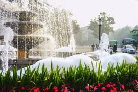 Ảnh minh họa. (Nguồn: Vietnam+) 