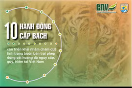 Infographics 10 hành động cấp bách ngăn chặn sự tuyệt chủng của các loài động vật hoang dã. (Nguồn: ENV)