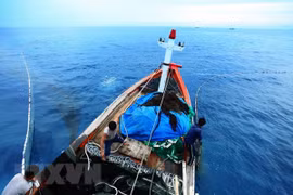 Ảnh chỉ có tính chất minh họa. (Nguồn: H.V/Vietnam+) 