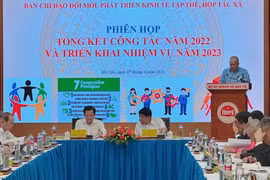 Năm 2023 là năm cả nước tập trung triển khai quyết liệt nhiều nhiệm vụ và giải pháp quan trọng về phát triển kinh tế tập thể, hợp tác xã. (Ảnh: CVT/Vietnam+)