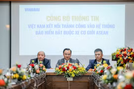 Chủ xe cơ giới từ các nước ASEAN quá cảnh tại Việt Nam hay Việt Nam là nước đi đến cuối cùng phải tham gia bảo hiểm bắt buộc trách nhiệm dân sự của chủ xe cơ giới. (Ảnh: Vietnam+)