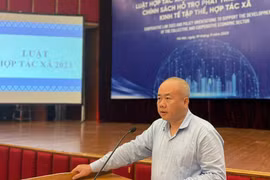 Thứ trưởng Bộ Kế hoạch và Đầu tư Đỗ Thành Trung. (Ảnh: Vietnam+)