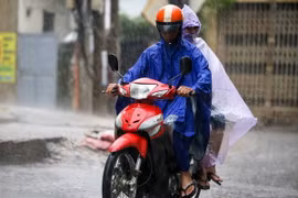 Ảnh chỉ có tính minh họa. (Ảnh: Lê Minh Sơn/Vietnam+)