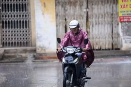 Ảnh chỉ có tính minh họa. (Ảnh: Lê Minh Sơn/Vietnam+)