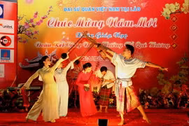 Việt kiều ở Lào gặp mặt mừng đón Tết Giáp Ngọ 2014 