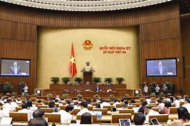 Bộ trưởng Bộ Nông nghiệp và Phát triển Nông thôn Lê Minh Hoan trả lời chất vấn. (Ảnh: Doãn Tấn/TTXVN)