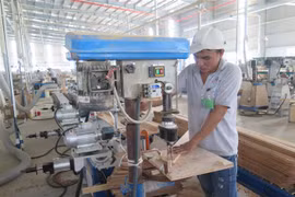 Sản xuất đồ gỗ xuất khẩu sang thị trường Mỹ tại Công ty Triệu Phú Lộc (Bình Dương). (Ảnh: TTXVN)