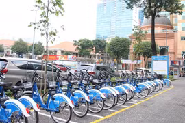 (Ảnh minh họa: Tiến Lực/TTXVN)