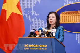 Việt Nam yêu cầu Đài Loan hủy bỏ hoạt động diễn tập trái phép