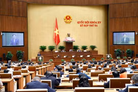 Quang cảnh phiên họp. (Ảnh: Doãn Tấn/TTXVN)