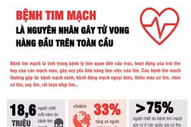 Bệnh tim mạch - nguyên nhân gây tử vong hàng đầu trên toàn cầu