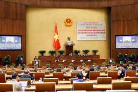 Quang cảnh cảnh hội nghị. (Ảnh: Doãn Tấn/TTXVN)