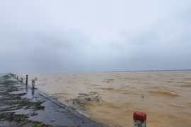 Quảng Trị: Mưa lớn khiến hơn 800 ngôi nhà và 8.400 ha lúa bị ngập