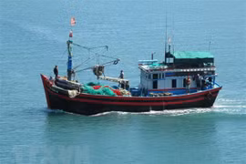 Khắc phục “thẻ vàng" IUU: Khẩn trương giải quyết hạn chế ở Bến Tre