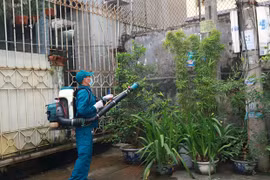 Đắk Lắk: Ghi nhận một trường hợp tử vong do sốt xuất huyết
