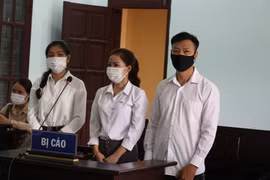 Bình Phước: Phạt tù GĐ trung tâm dạy nghề lập khống 60 hợp đồng