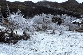 Vùng núi cao Bắc Bộ có nơi dưới 5 độ C, có khả năng xảy ra băng giá