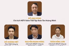 [Infographics] Khởi tố Chủ tịch Tập đoàn Tân Hoàng Minh và đồng phạm