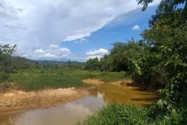 Lâm Đồng: Tắm ở mương thủy lợi, hai cháu nhỏ tử vong do đuối nước