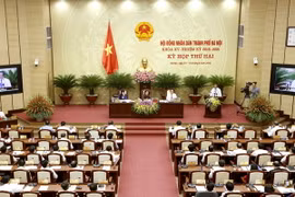 Quang cảnh kỳ họp. (Ảnh: An Đăng/TTXVN)