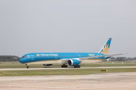 Máy bay của các hãng hàng không Việt Nam (Vietnam Airlines) tại sân bay Nội Bài. (Ảnh: TTXVN)