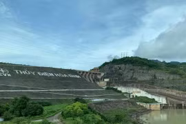 (Ảnh: Vietnam+)