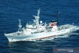 (Nguồn: antaranews)