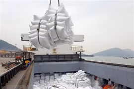 Bốc xếp gạo xuất khẩu tại cảng Cửa Lò (Nghệ An). (Ảnh: Danh Lam/TTXVN)