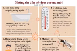 [Infographics] Những tin đồn về chủng virus corona mới 