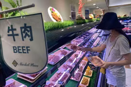 Các lực lượng chức năng tại cửa khẩu Tân Thanh kiểm tra mặt hàng vải quả tươi trước khi xuất khẩu sang Trung Quốc được nhanh chóng. (Ảnh: Quang Duy/TTXVN)