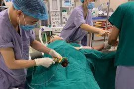 Phú Thọ: Điều tra vụ trọng án làm hai người chết, hai người bị thương