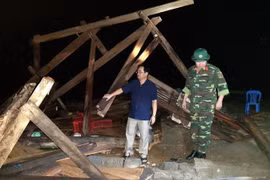Giông lốc, mưa đá diện rộng tại huyện Tân Uyên, tỉnh Lai Châu làm đổ cây cối, nhà cửa, nhiều diện tích hoa màu mất trắng. (Ảnh: TTXVN)