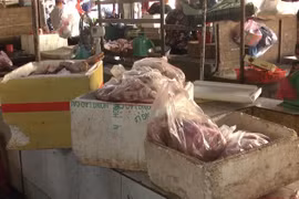 Hàng trăm kg thịt lợn hôi thối bị lực lượng chức năng phát hiện. (Ảnh: Đậu Tất Thành/TTXVN)