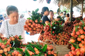 Sản phẩm vải thiều được công nhận OCOP giới thiệu tại siêu thị. (Ảnh: Phương Anh/TTXVN)