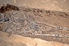 (Nguồn: rt.com)