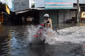 (Ảnh minh họa: Mạnh Linh/TTXVN)