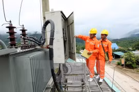 Ảnh minh họa. (Ảnh: Ngọc Hà/TTXVN)
