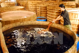 Sản xuất nước mắm ở Phú Quốc. (Ảnh: Thanh Vũ/TTXVN) 
