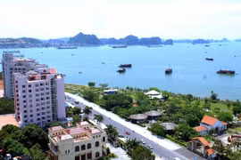 Ảnh minh họa. (Ảnh : Danh Lam/TTXVN)