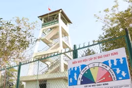 Biển báo hiệu cấp dự báo cháy rừng của Hạt Kiểm lâm Vườn Quốc gia Phú Quốc đã chuyển sang mức dự báo cấp 5 - cấp cực kỳ nguy hiểm. (Ảnh: Nhu Giang/Vietnam+).
