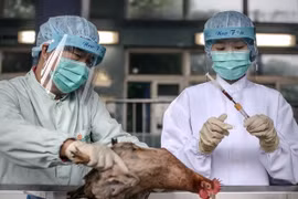 Ảnh minh họa. (Nguồn: AFP/TTXVN)