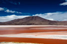 Hồ Laguna Colorada ở Bolivia. (Nguồn: NatGeo)