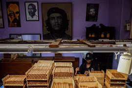 Đóng gói xì gà tại nhà máy Cohiba ở Havana, Cuba, ngày 8/9/2022. (Ảnh: AFP/TTXVN)