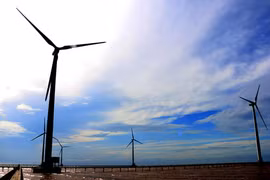 Các trụ turbine gió phát điện tại nhà máy điện gió Bạc Liêu. (Ảnh: Thanh Liêm/TTXVN)