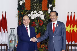 Chủ tịch nước Nguyễn Xuân Phúc chụp ảnh chung với Tổng thống Indonesia Joko Widodo trước khi tiến hành hội đàm. (Ảnh: Thống Nhất/TTXVN)