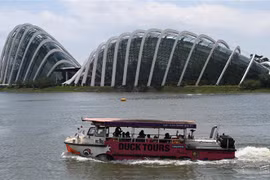 Du khách thăm quan Công viên tự nhiên ở Singapore ngày 28/12/2020. (Ảnh: AFP/TTXVN)