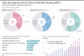 (Nhấp chuột để xem kích thước chuẩn)