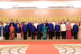 Chủ tịch nước và các nhà lãnh đạo kinh tế APEC chụp ảnh lưu niệm 